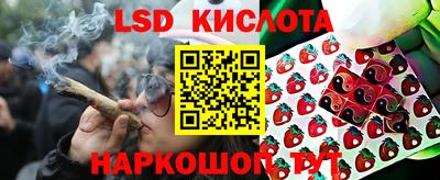 ALPHA PVP Будённовск