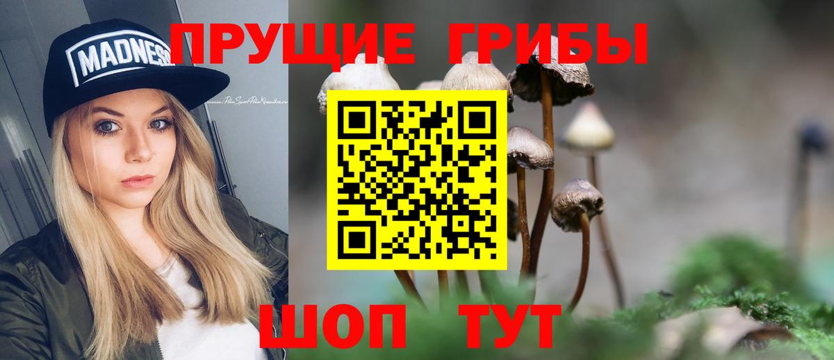 Галлюциногенные грибы мицелий Омск